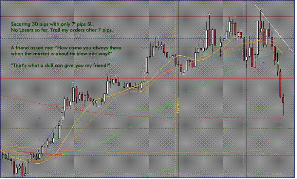 download niceGuy ridiculous 7 pips trading system for mt4