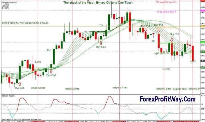 Forex and binary options top trading strategies - the bible -