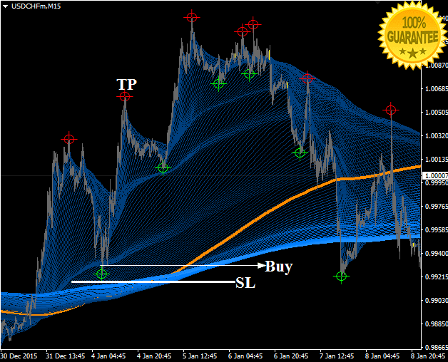 What trading system do you use