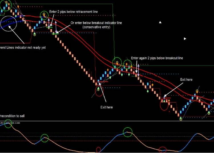 ForexRacer Professional Renko trading System