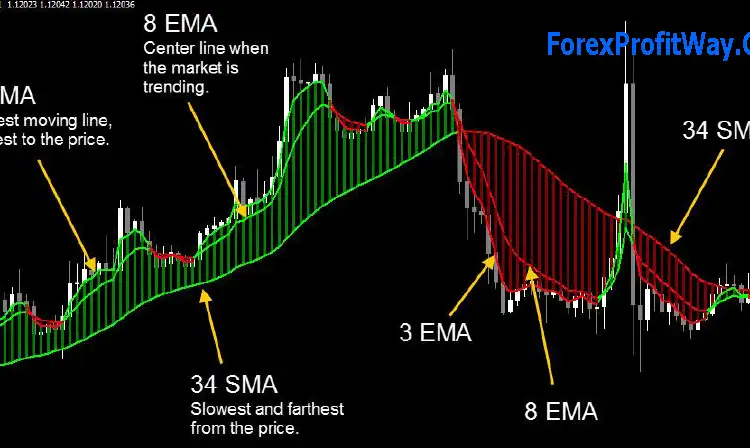 download Dynamic Cash Tracker trading system for mt4