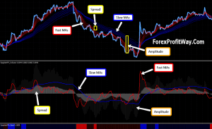 Download Spaghetti FX forex strategy for mt4