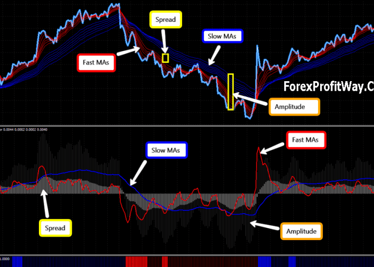 Download Spaghetti FX forex strategy for mt4