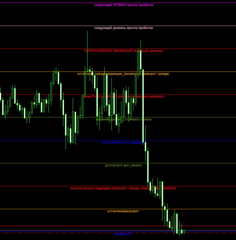 thinktrader vs metatrader