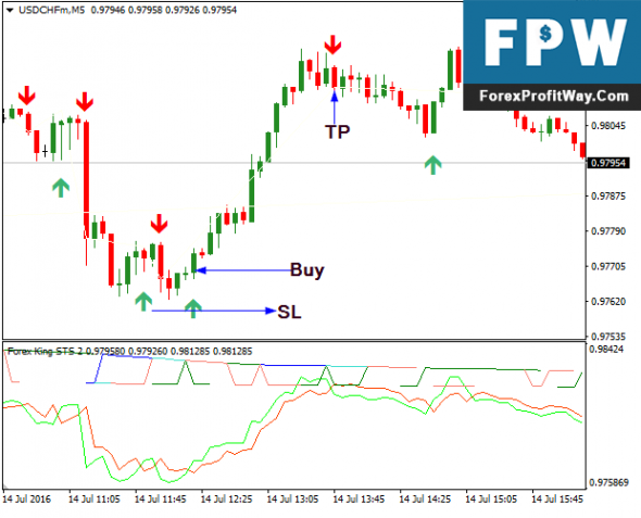Forex kings classes
