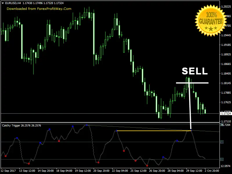 Binary Options Trading Forex Indicator