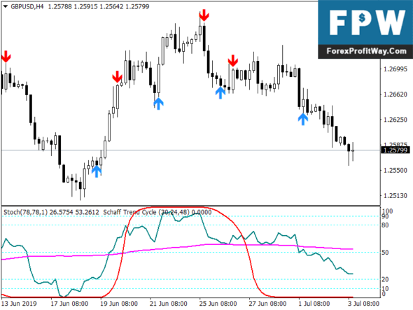 Forex cycle
