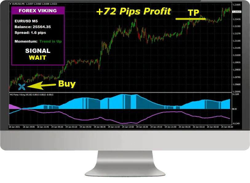 Forex-Viking-Welcome-Screen-2
