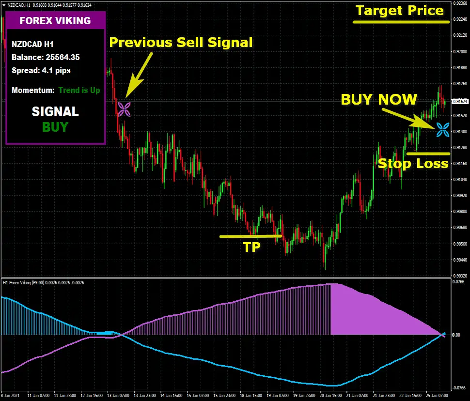 forex-viking-long-trade-example