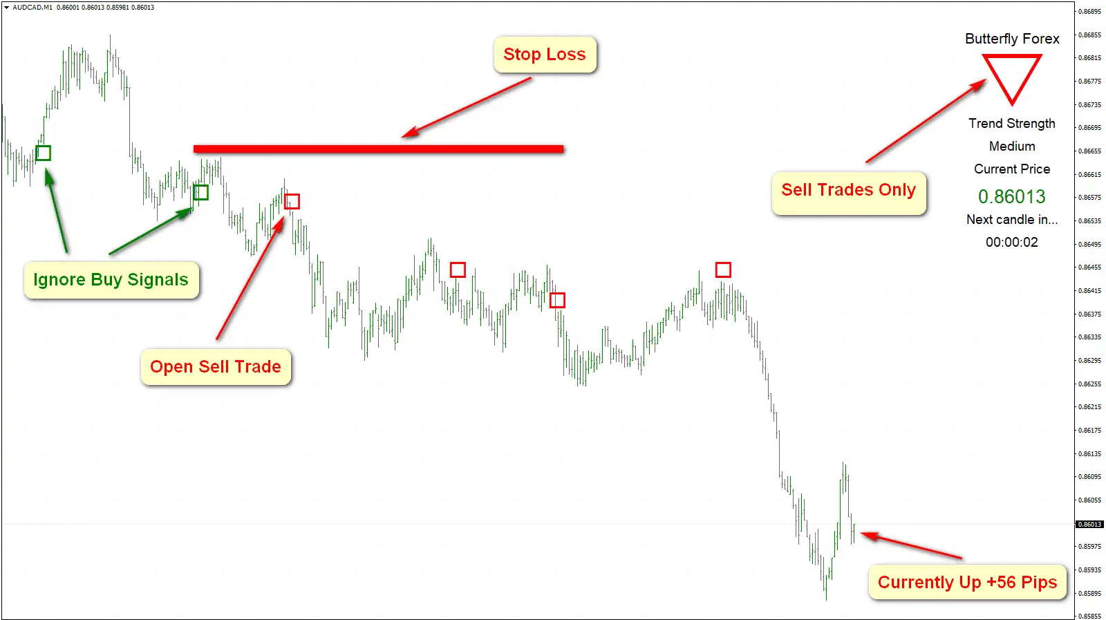 AUDCADM1-1