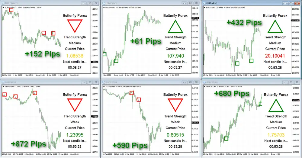 BUTTERFLY FOREX MT4 SOFTWARE