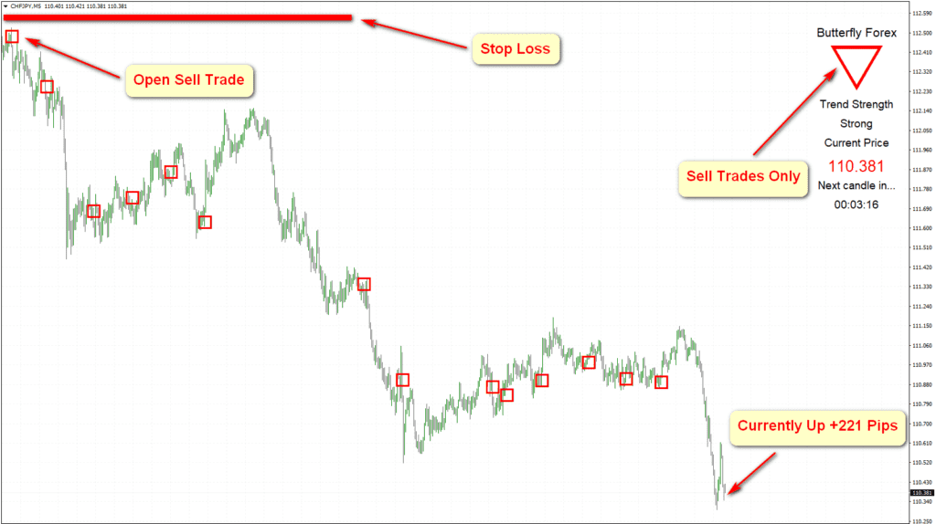 BUTTERFLY FOREX MT4 TRADING SYSTEM