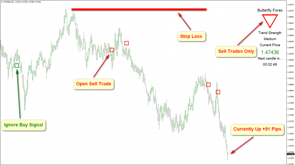 BUTTERFLY FOREX MT4 TRADING SYSTEM